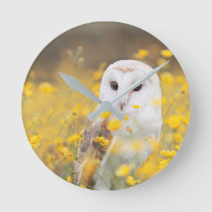 Barn Owl in Yellow Flower Field Round Clock