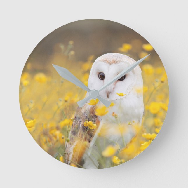Barn Owl in Yellow Flower Field Round Clock (Front)