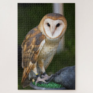 Barn Owl Jigsaw Puzzle