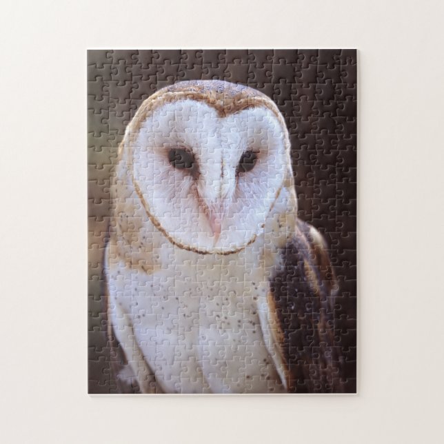 barn owl jigsaw puzzle (Vertical)