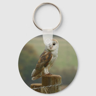Barn Owl keyring