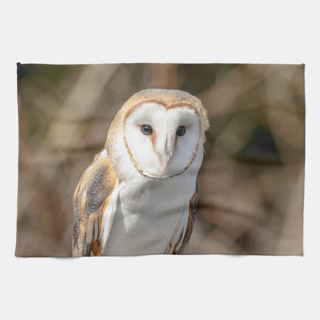 Barn Owl Kitchen Towel (Horizontal)