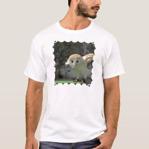 Barn Owl Men's T-Shirt