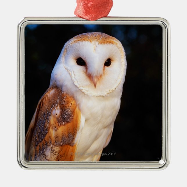 Barn Owl Metal Ornament (Front)