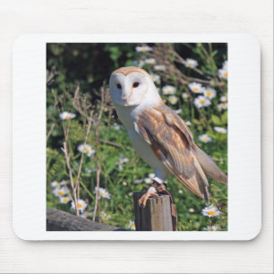 Barn Owl Mouse Pad