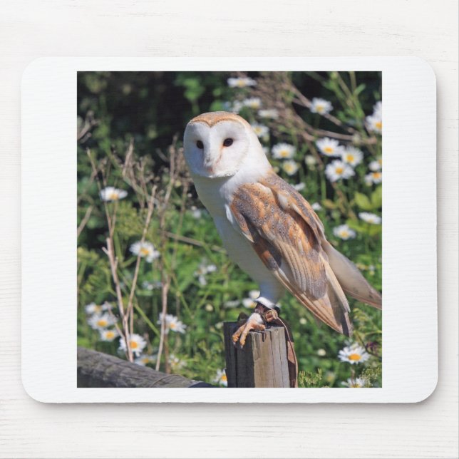 Barn Owl Mouse Pad (Front)