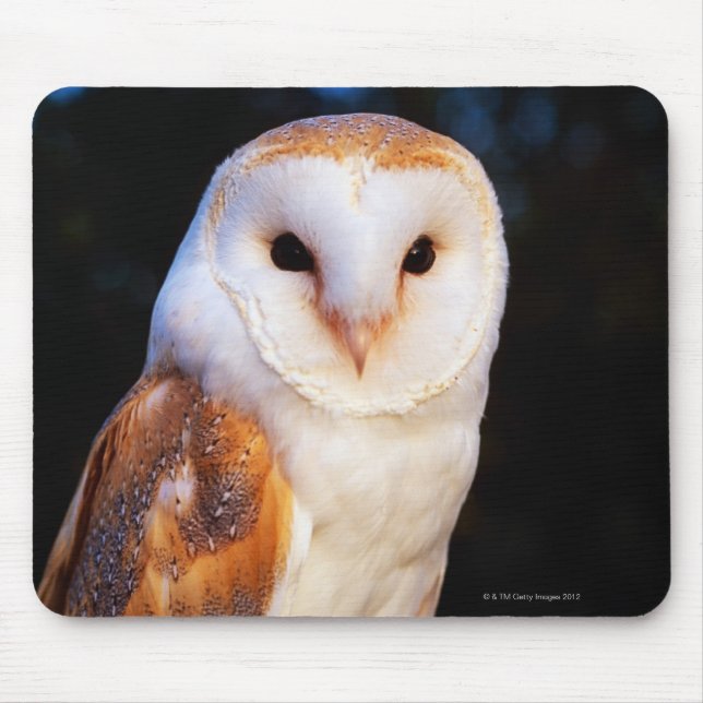 Barn Owl Mouse Pad (Front)