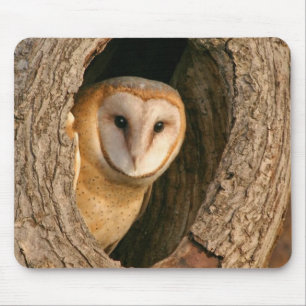 Barn Owl Mousepad