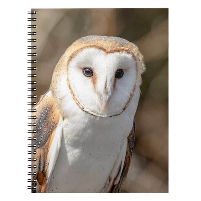 Barn Owl Notebook (Front)