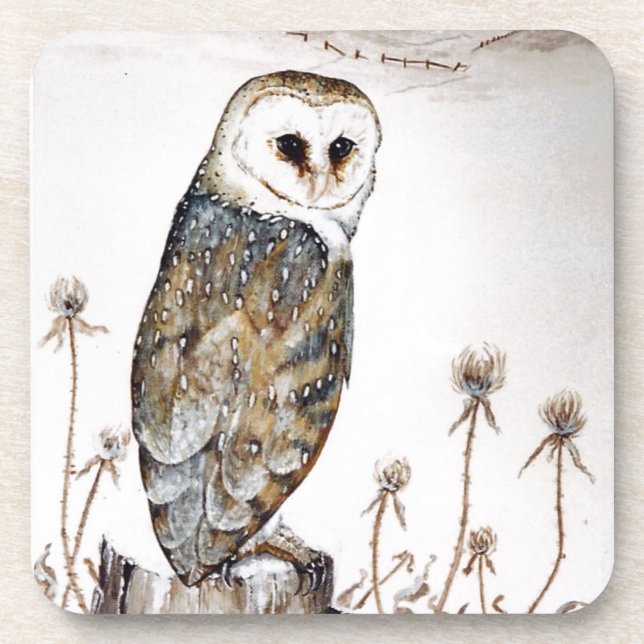 Barn Owl on the hunt Coaster (Front)