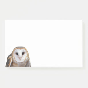 Barn Owl Photo 10x6 Notes Stationery