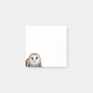 Barn Owl Photo Post-it Notes Papeterie