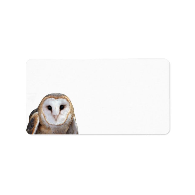 Barn Owl Photo Stationery Return Address Label (Front)