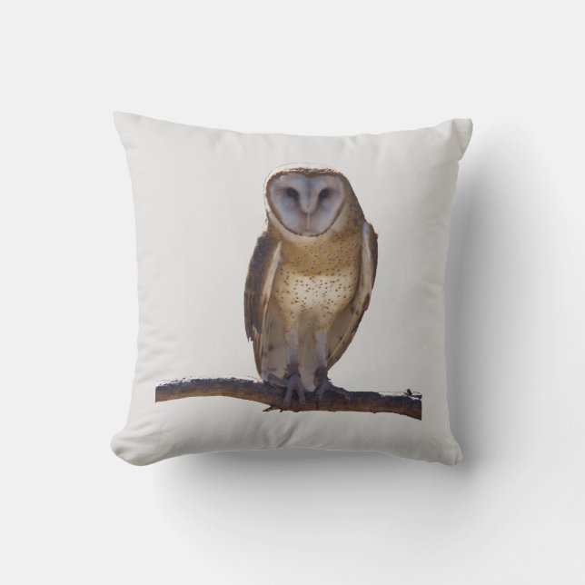 Barn Owl Pillow (Front)