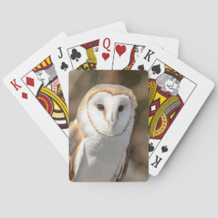 Barn Owl Playing Cards