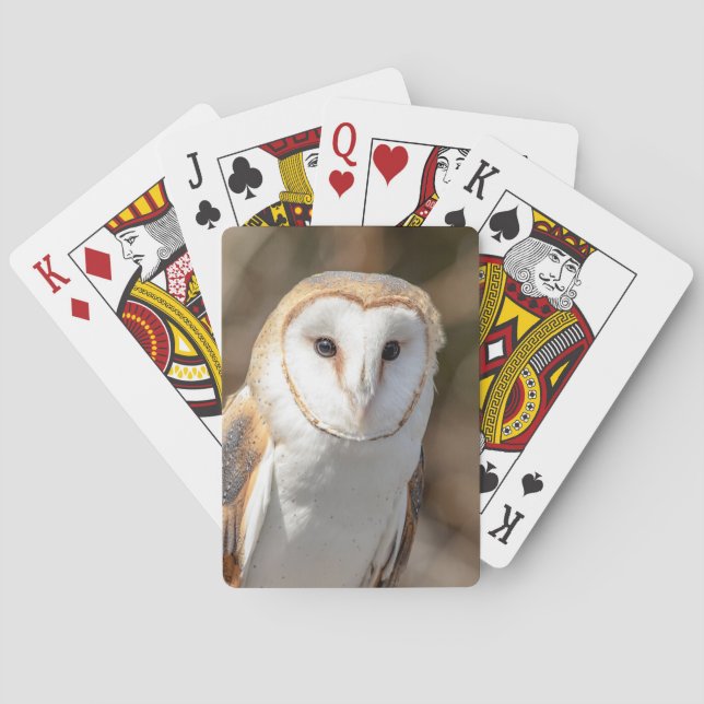 Barn Owl Playing Cards (Back)