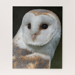 Barn Owl Portrait Jigsaw Puzzle