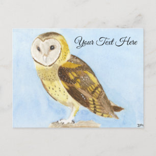 Barn Owl Postcard