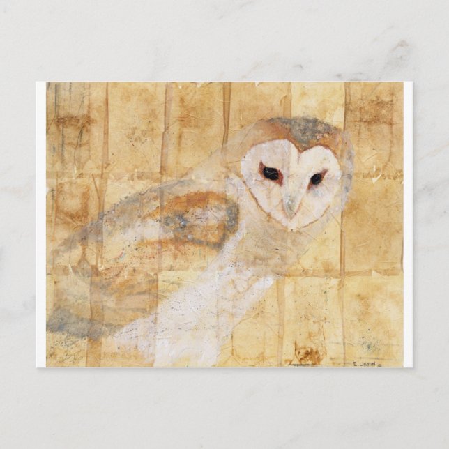 Barn Owl Postcard (Front)