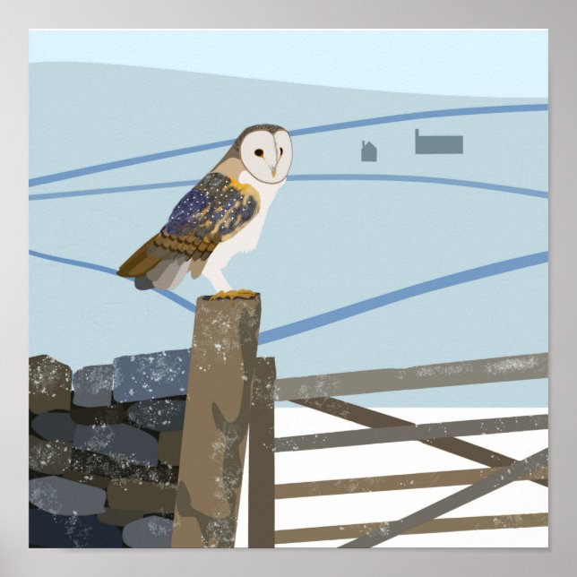 Barn owl Poster (Front)