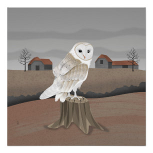 Barn Owl Poster