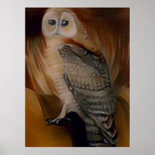 Barn Owl 🦉 Poster