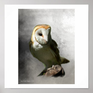 Barn Owl Print