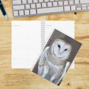 Barn Owl Raptor Photo Calendar   Planner