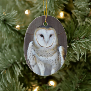 Barn Owl Raptor Photo Holiday Ceramic Ornament