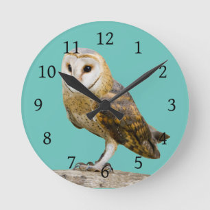 Barn Owl Round Clock