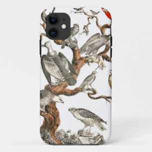 Barn Owl Snowy Bird Nature  iPhone 11 Case