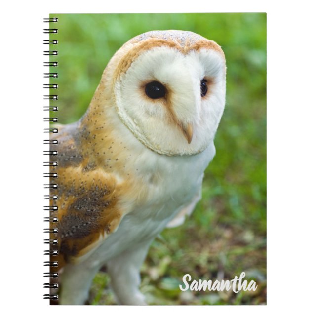 Barn Owl Spiral notebook (Front)