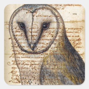 Barn Owl Square Sticker