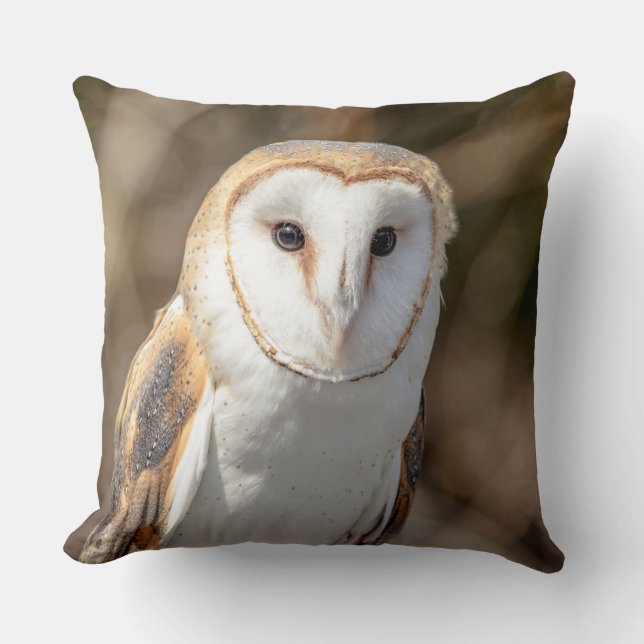 Barn Owl Throw Pillow (Front)