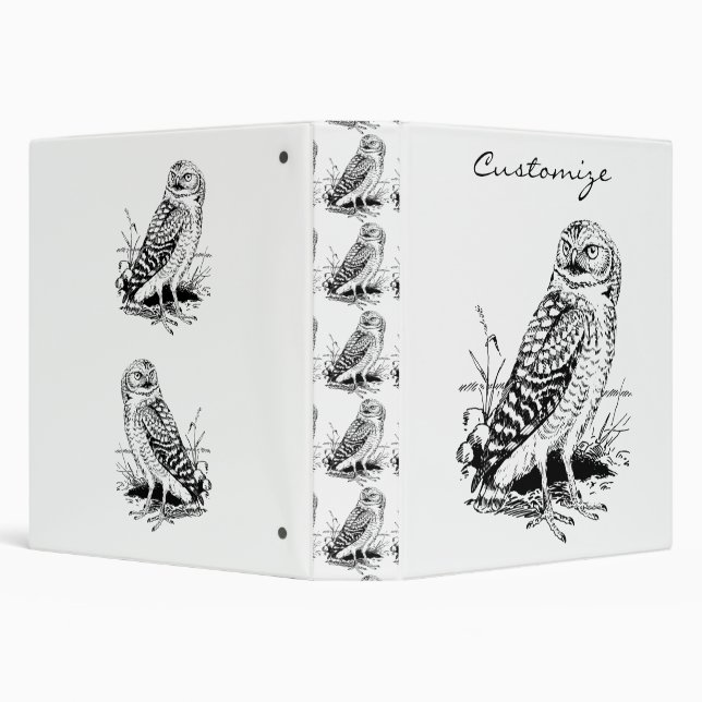 Barn Owl Thunder_Cove Binder (Background)