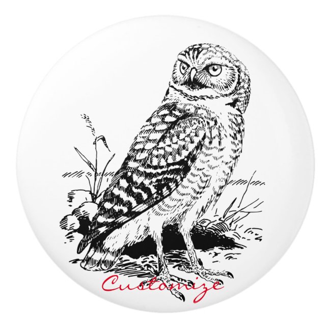 Barn Owl Thunder_Cove Ceramic Knob (Front)