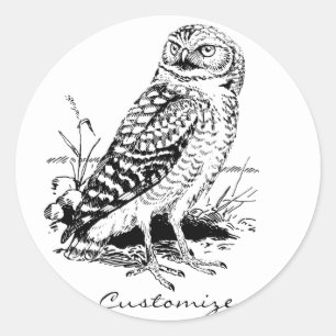 Barn Owl Thunder_Cove Classic Round Sticker