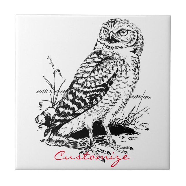 Barn Owl Thunder_Cove Tile (Front)
