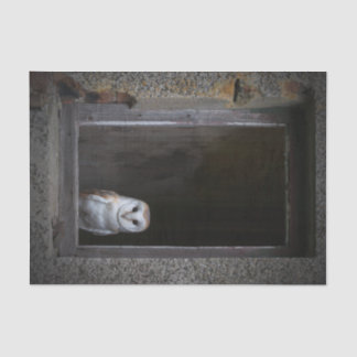 Barn Owl Tissue Paper