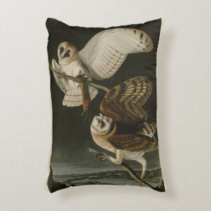 Barn Owl (Tyto alba) Audubon's Birds of America Accent Pillow