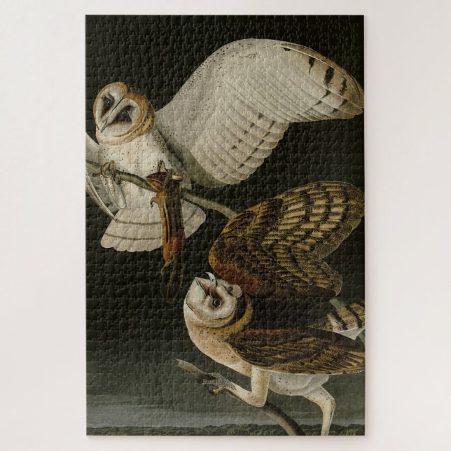 Barn Owl (Tyto alba) Audubon's Birds of America Jigsaw Puzzle (Vertical)