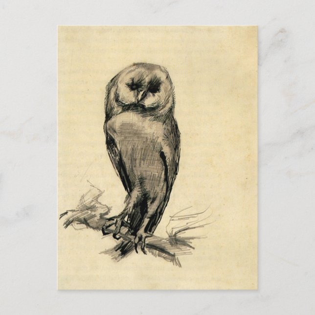 Barn Owl Viewed from the Front by Vincent van Gogh Postcard (Front)