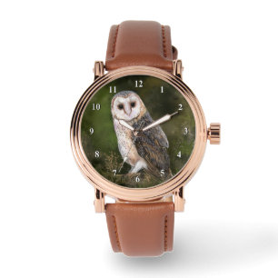Barn Owl Watch