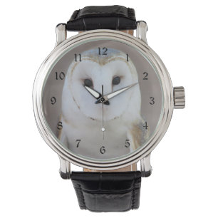 Barn Owl Watch
