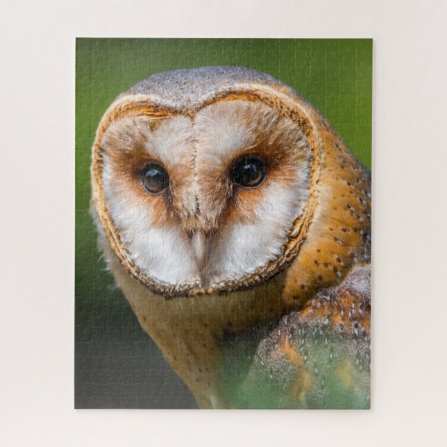 Barn Owls -Birds of Prey. Jigsaw Puzzle (Vertical)