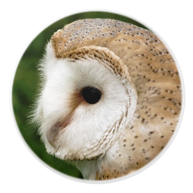 BARN OWLS CERAMIC KNOB (Front)