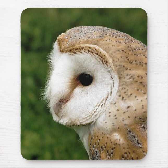 BARN OWLS MOUSE PAD (Front)