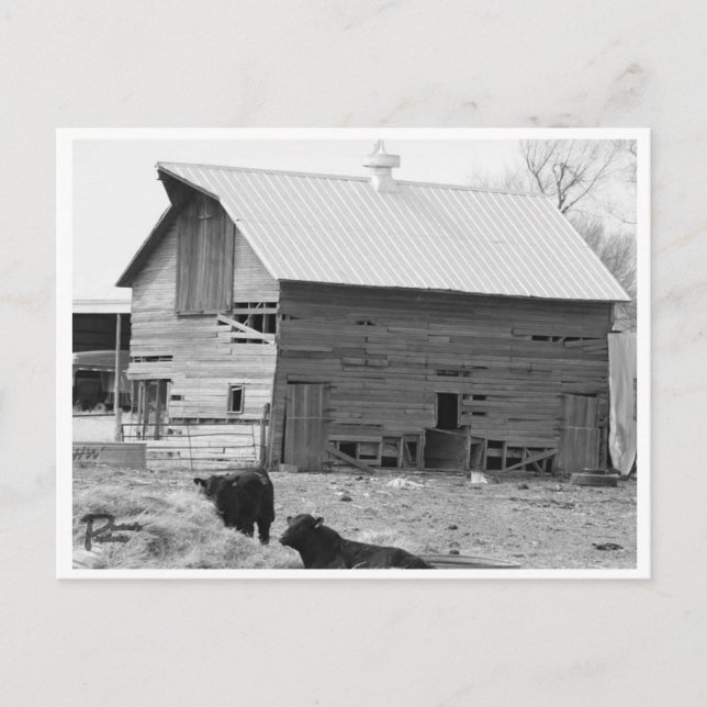 Barn postcard (Front)