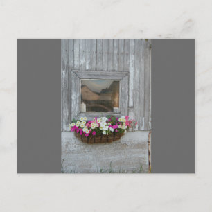 Barn Reflection Postcard