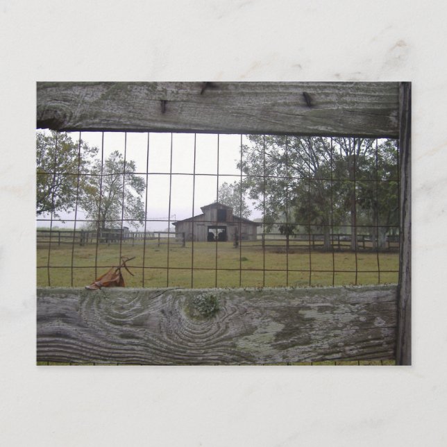Barn scene postcard (Front)
